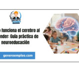 Cómo funciona el cerebro al aprender: Guía práctica de neuroeducación