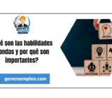 ¿Qué son las habilidades blandas y por qué son importantes?